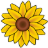 immagineweb.net icon