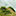 immanuelapproach.com icon