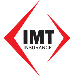 imtins.com icon