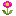 incest.win logo