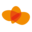incluzioleiden.nl icon