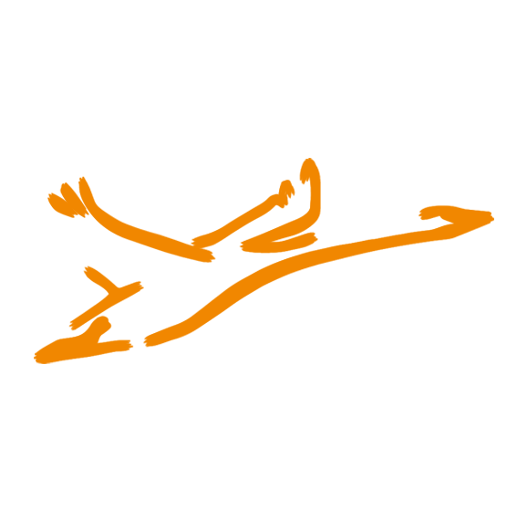 independentrecruiters.nl icon