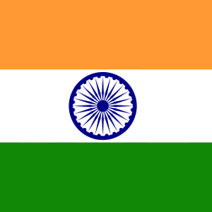 indianporn.pictures icon
