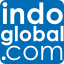 Indo Global logo