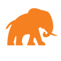 indyzoo.com icon