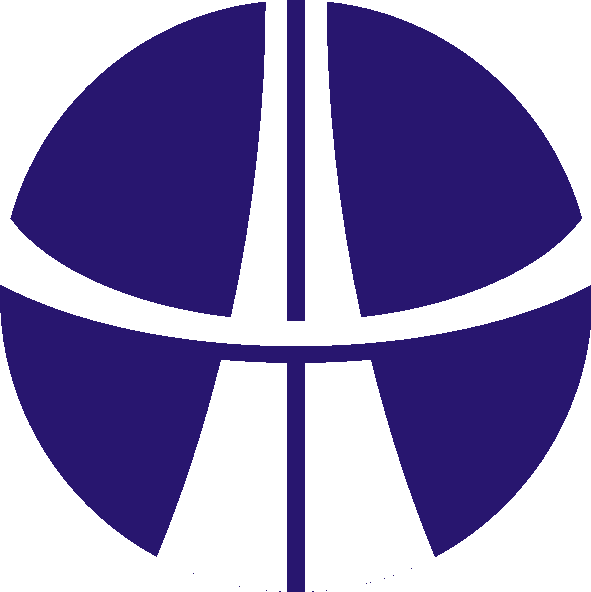 infi-pre.com icon