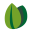 infoamazonia.org logo