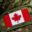 Info Petite Nation favicon