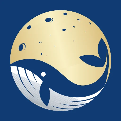 innovamediaservices.com icon