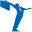 insertia.net logo