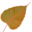 insightretreatcenter.org icon
