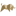 insignitus.com icon