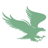 instituteforsoundpublicpolicy.org icon