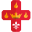 instituteoftheincarnateword.org icon