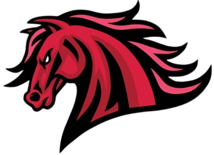 institutodeelcorazon.com icon