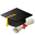 institutodigitaldelperu.edu.pe icon