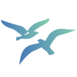 int-studio.com icon