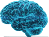 intellectdynamics.com icon