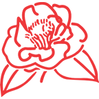 internationalcamellia.org icon