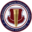 internationaldentalimplantassociation.com icon