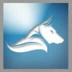 investasian.com icon