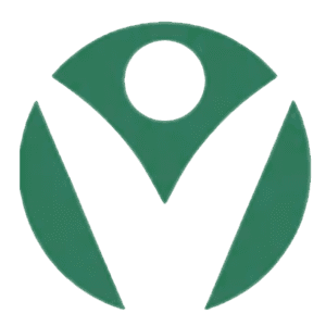 invisionsallyjobe.com icon