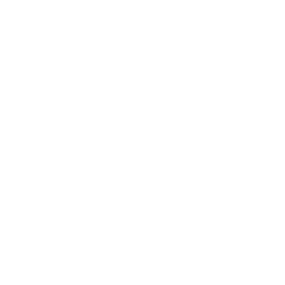 iostscan.com logo