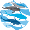 iotc.org icon