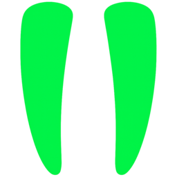 ipwalrus.com icon