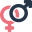 ireland-escorts.net icon