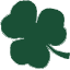 irishdancing.com icon