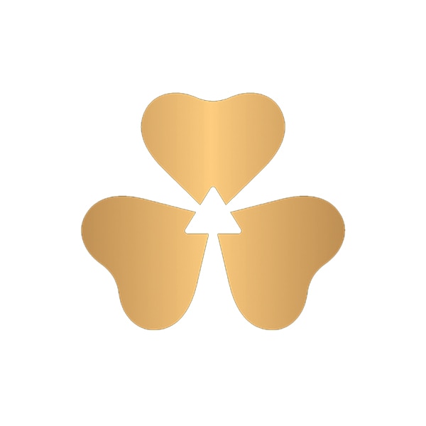 Irish Spring logo