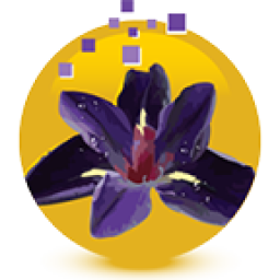 iriswebdesigns.com icon