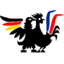 isfates-dfhi-alumni.org icon