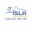 islahomeibizaservice.com icon