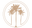 Island Tribe Wellness