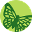 isleofwight-nl.org.uk icon