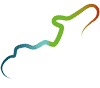 isloteareoso.com icon