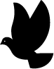 israel-festival.org icon