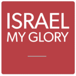 israelmyglory.org icon