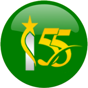 istanajawa.com icon