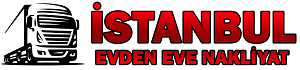 istanbulevdenevenakliye.tr icon