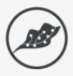 italypost.it icon