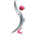 itcane.com icon