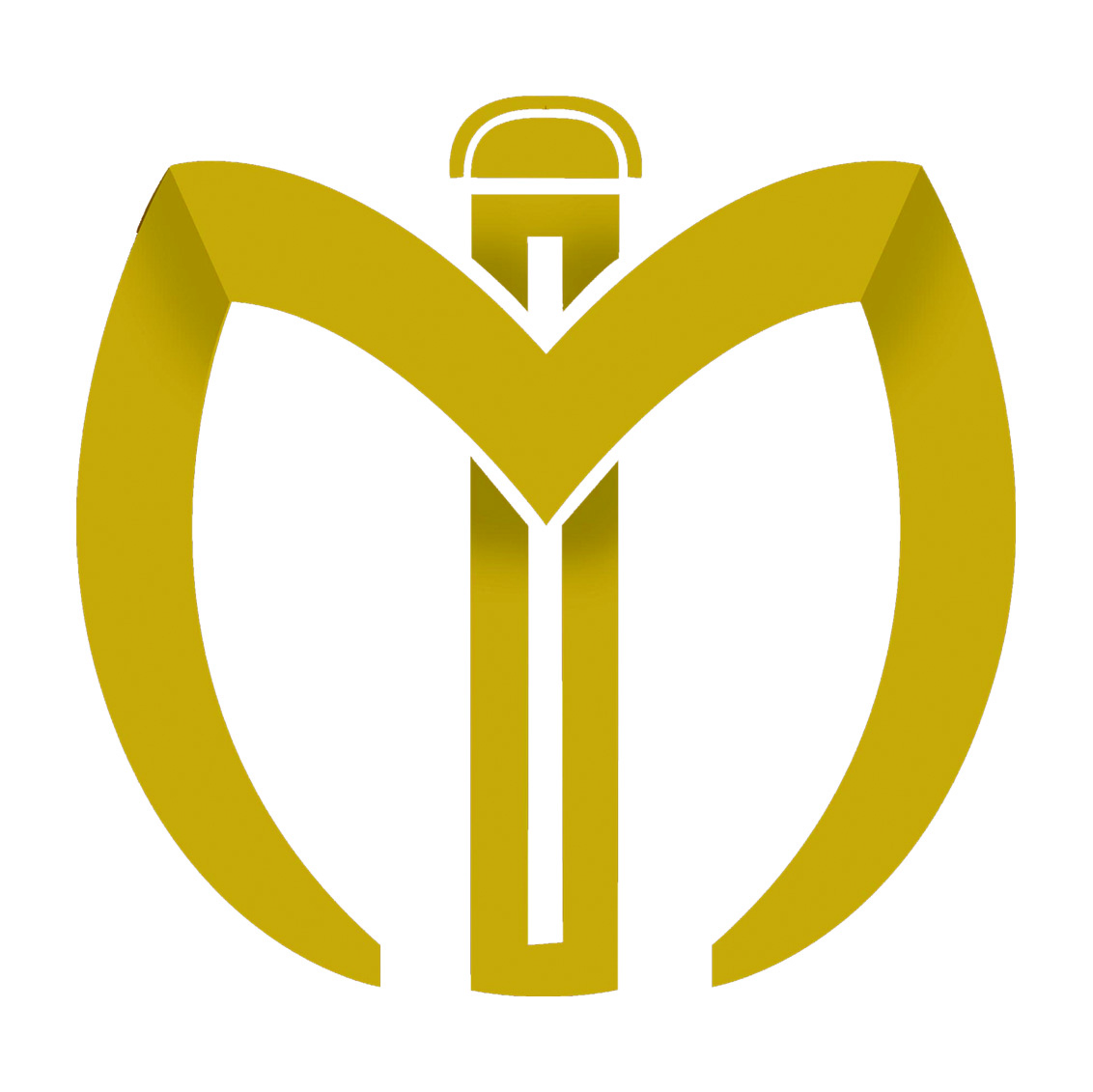 iterji.com icon