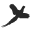 ithacagun.com icon