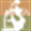 iustel.com logo