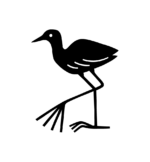 jacana.co.za icon