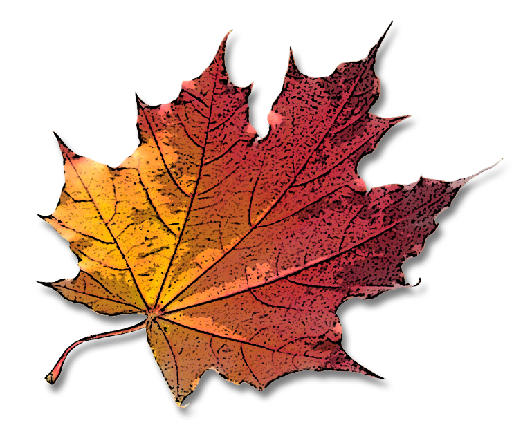 jblighweb.com icon