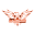 jcarrillofitness.com icon